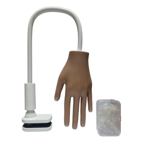 Mannequin Training Hand